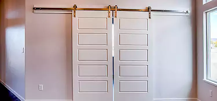 Glass Barn Door with Installation Hardware Kit Ewa Gentry