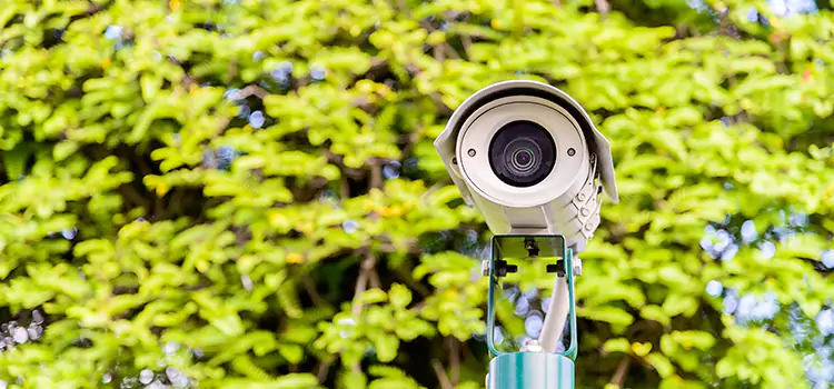 Advanced Surveillance Solutions for Every Need in Ewa Gentry