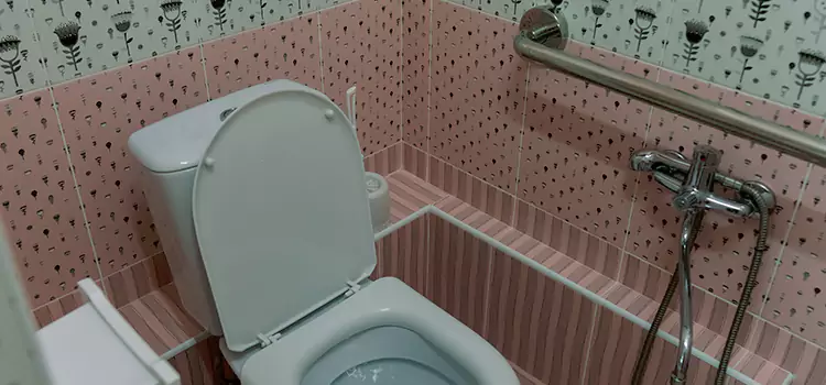 Meeting Diverse Needs With Accessible Restroom Solutions in Ewa Gentry, HI